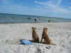Ostsee2.jpg (274347 Byte)